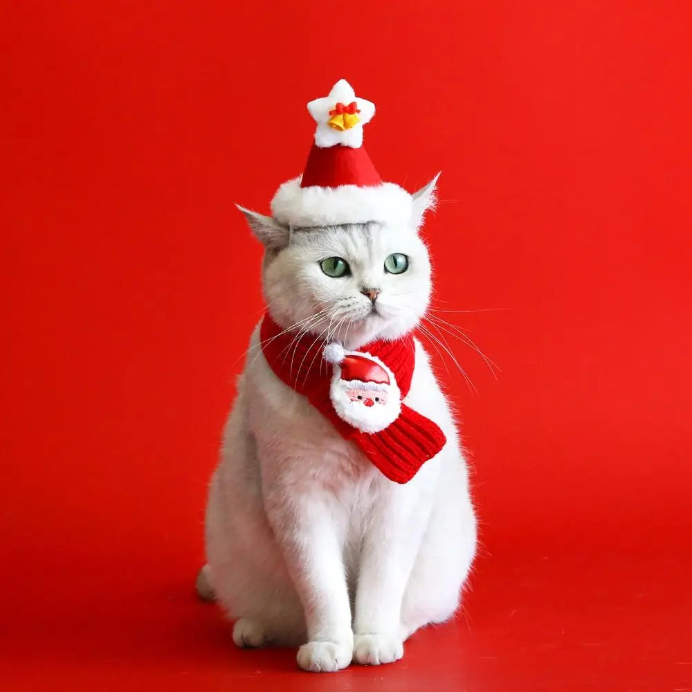 Collar Red Pet Christmas Scarf Green Wool Warm Scarf Santa's Hat