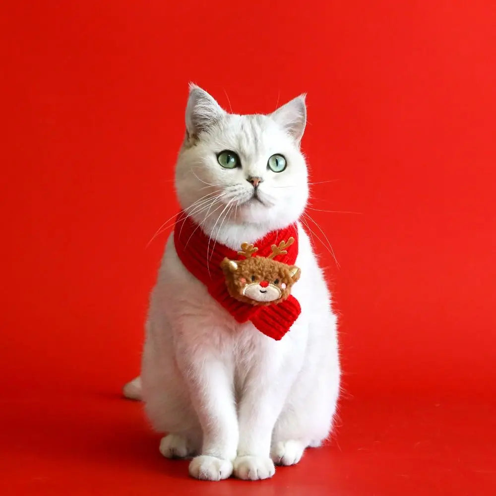 Collar Red Pet Christmas Scarf Green Wool Warm Scarf Santa's Hat
