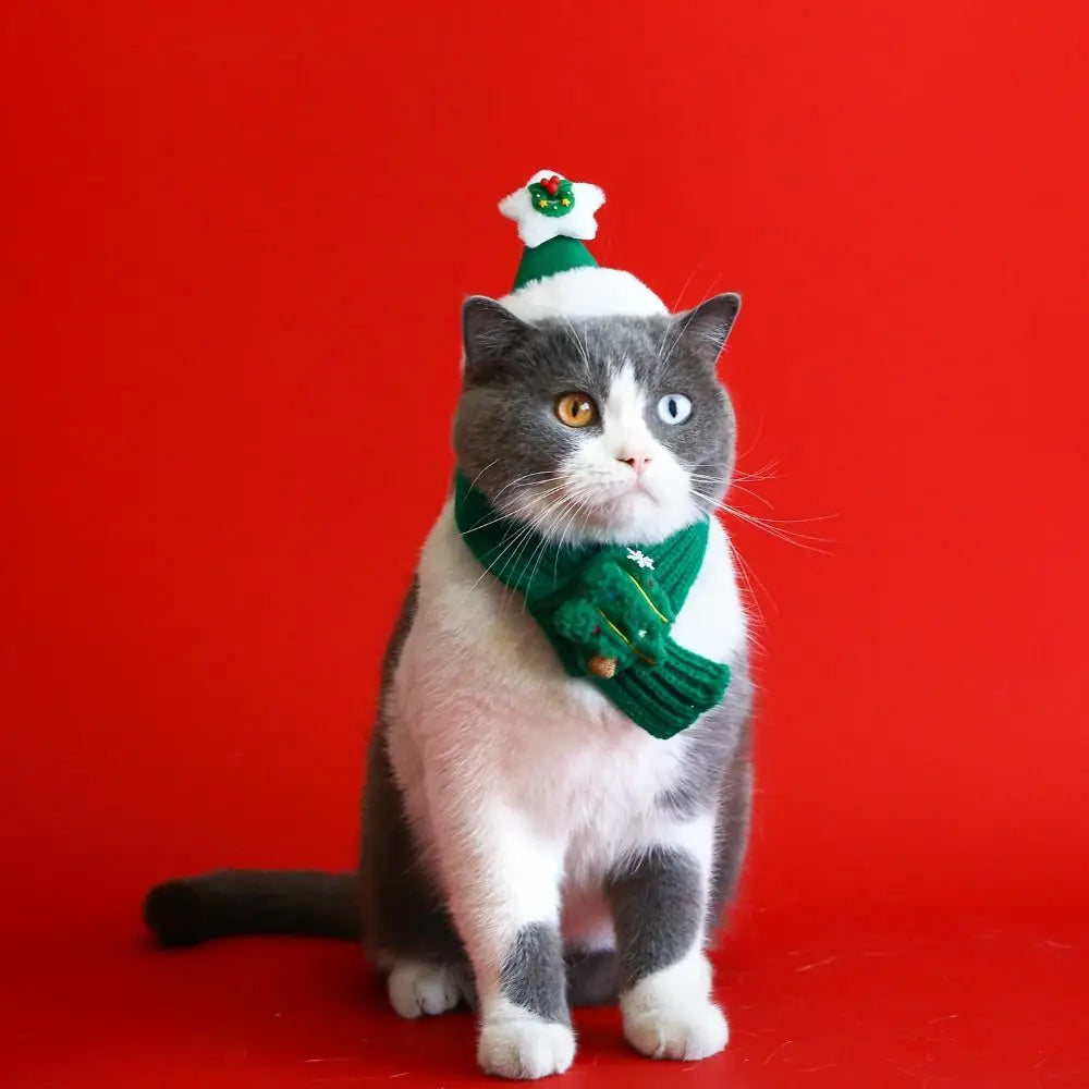 Collar Red Pet Christmas Scarf Green Wool Warm Scarf Santa's Hat