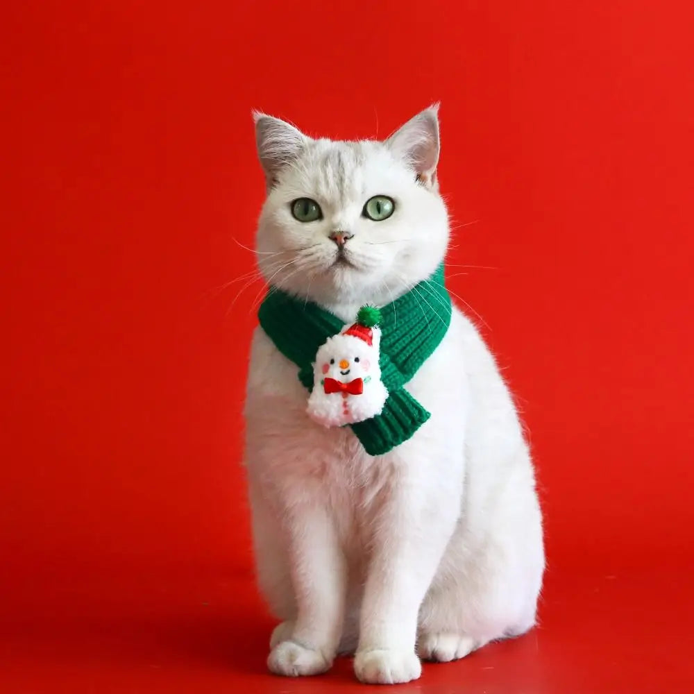 Collar Red Pet Christmas Scarf Green Wool Warm Scarf Santa's Hat